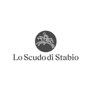 Logo-Lo-Scudo-di-Stabio-1.png