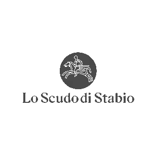 Logo-Lo-Scudo-di-Stabio-1-1.png