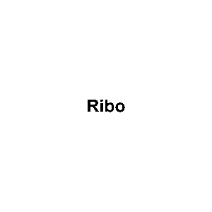 Logo Ribo